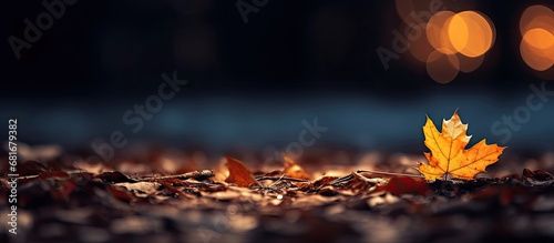 In the background of the autumn night, a lone leaf fluttered down, its golden hue fading as it settled on the ground, evoking a natural and emotional sadness in the evening. photo