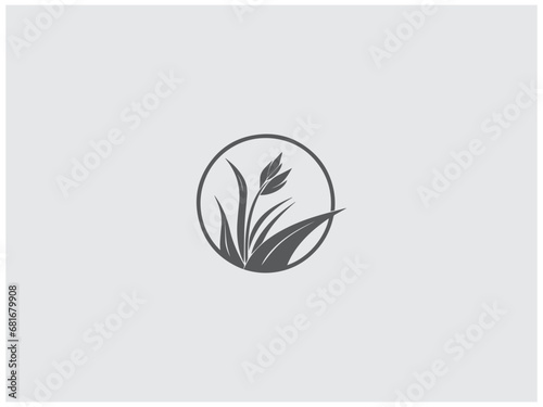 Fototapeta Naklejka Na Ścianę i Meble -  premium rice plant logo vector, vector and illustration,