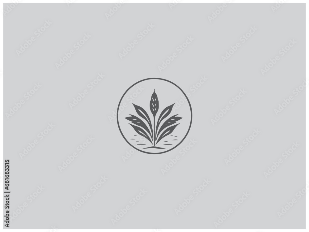 premium rice plant logo vector, vector and illustration, premium rice plant logo vector, vector and illustration,