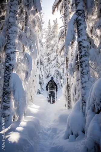 A snowboarder navigating through a forest of snow-covered trees