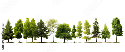 Set of trees on transparent background PNG