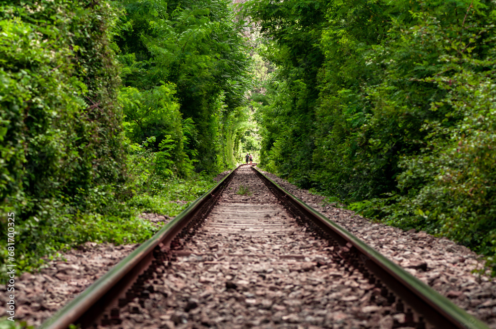 A natural love tunnel formed by trains cutting off the branches of the trees. Green foliage. Unrecognizable people A natural love tunnel formed by trains cutting off the branches of the trees. Green foliage. Unrecognizable people