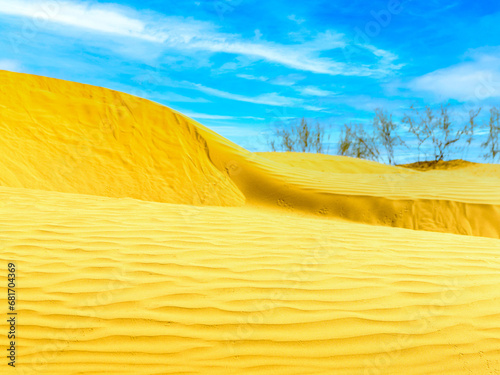 Sand dunes in selective focus in the Astrakhan desert, Russia. Wild desert.Climate warming concept.