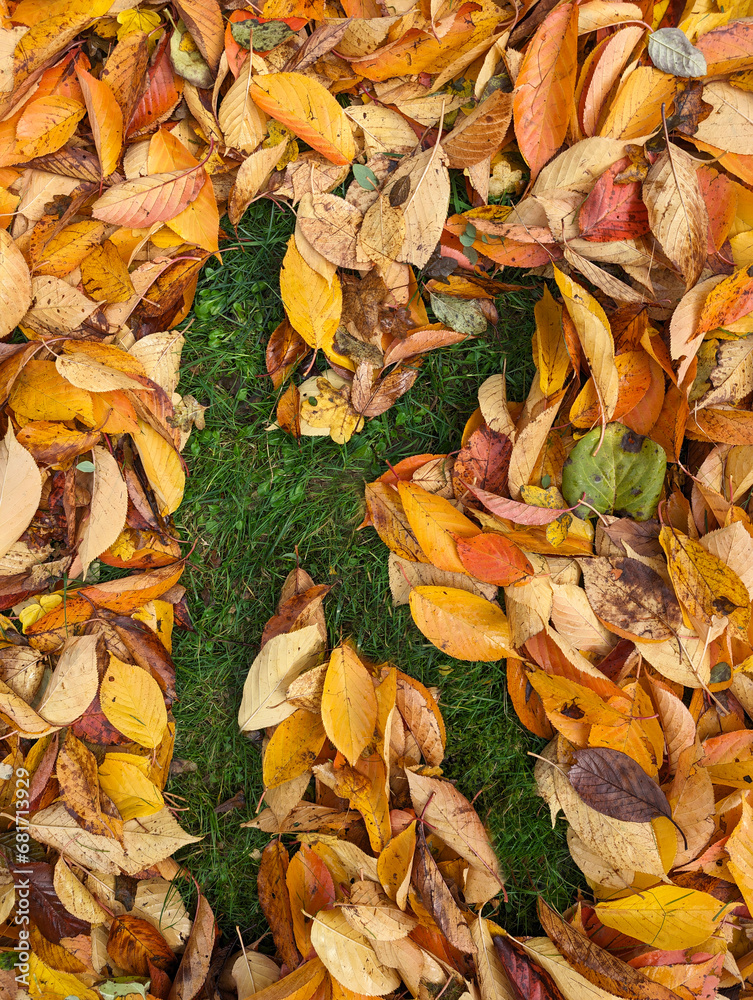 The letter K formed from colorful autumn leaves on grass