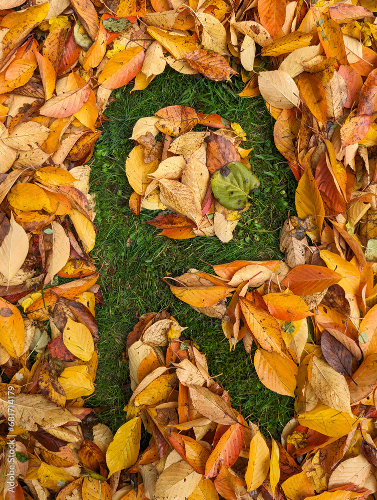 The letter R formed from colorful autumn leaves on grass