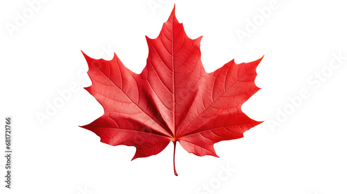 Red maple leaf as an autumn symbol as a seasonal themed concept as an icon of the fall weather isolated on transparent background photo