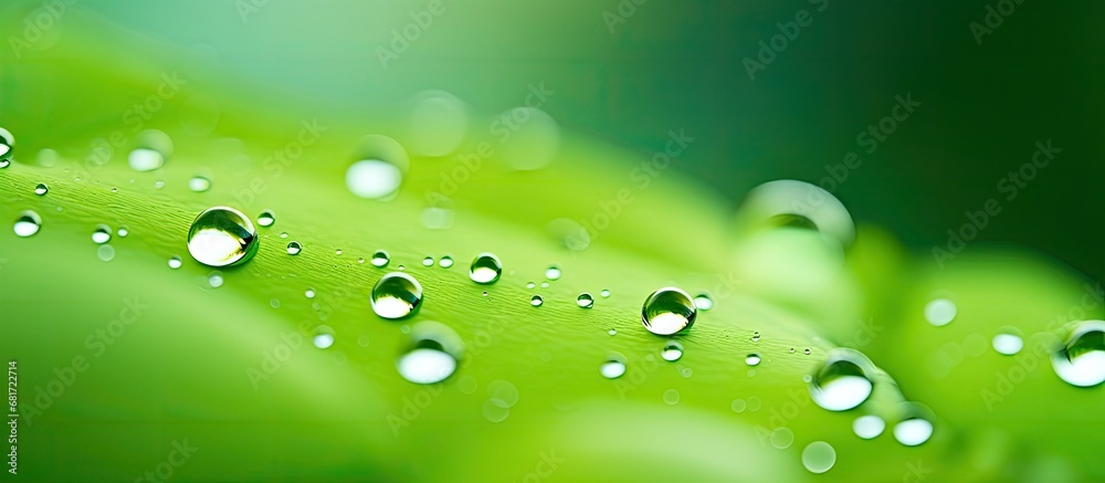 In the abstract realm of nature, a vibrant display of green circles created by the gentle wave of a splash of rainwater embraces the environment. The drop of liquid gracefully dances on the surface