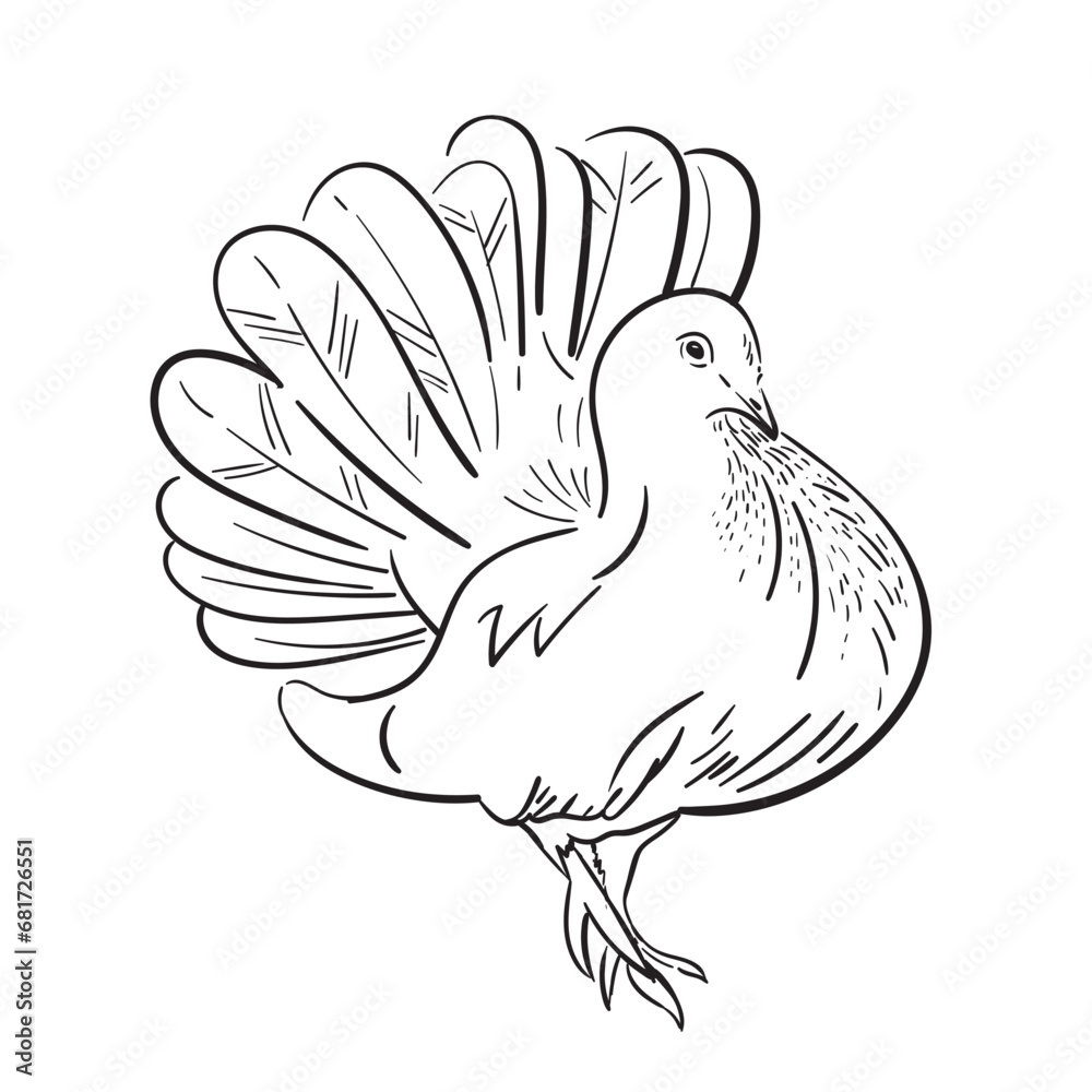Fototapeta premium Realistic White decorative dove sketch illustration. doodle silhouette, on white background. Vector illustration or element for your design.