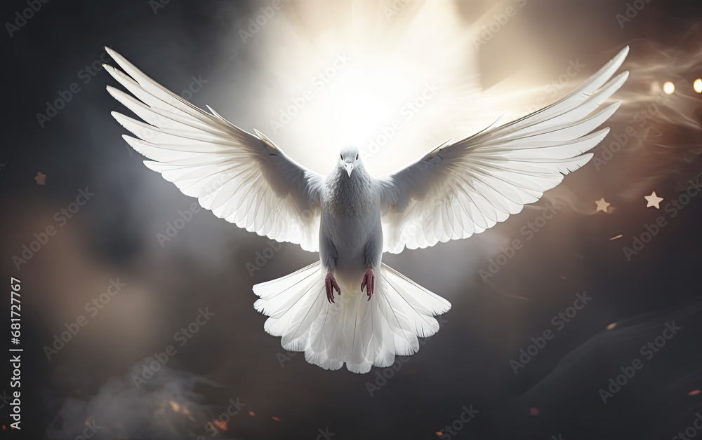 Obraz premium Spiritual Dove Symbolizing Holy Spirit - Icon of Peace, Love, and Religious Harmony