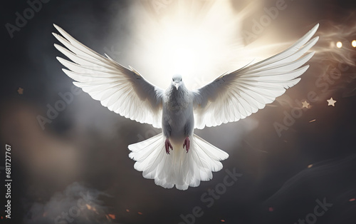 Spiritual Dove Symbolizing Holy Spirit - Icon of Peace  Love  and Religious Harmony