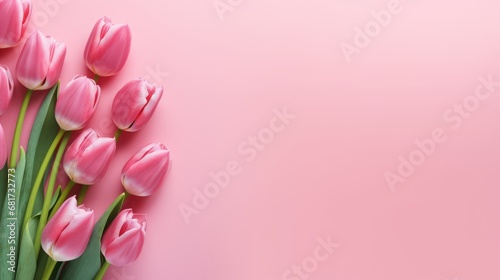Tulips background for text. #681732773