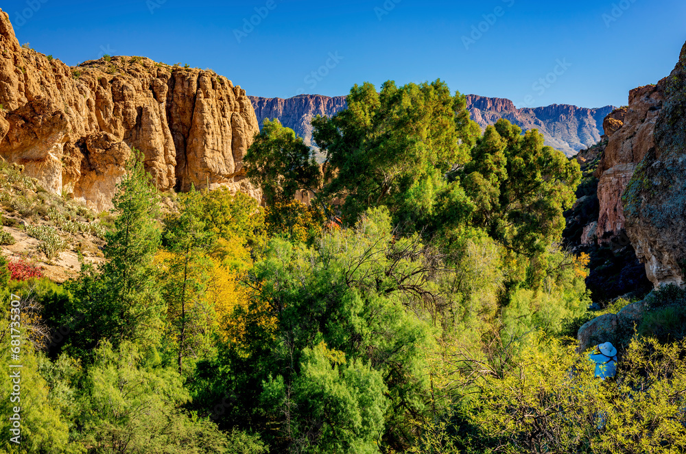 Desert mountains above a valley forest in Arizona
