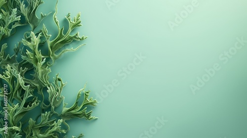 Seaweed. Background for text.