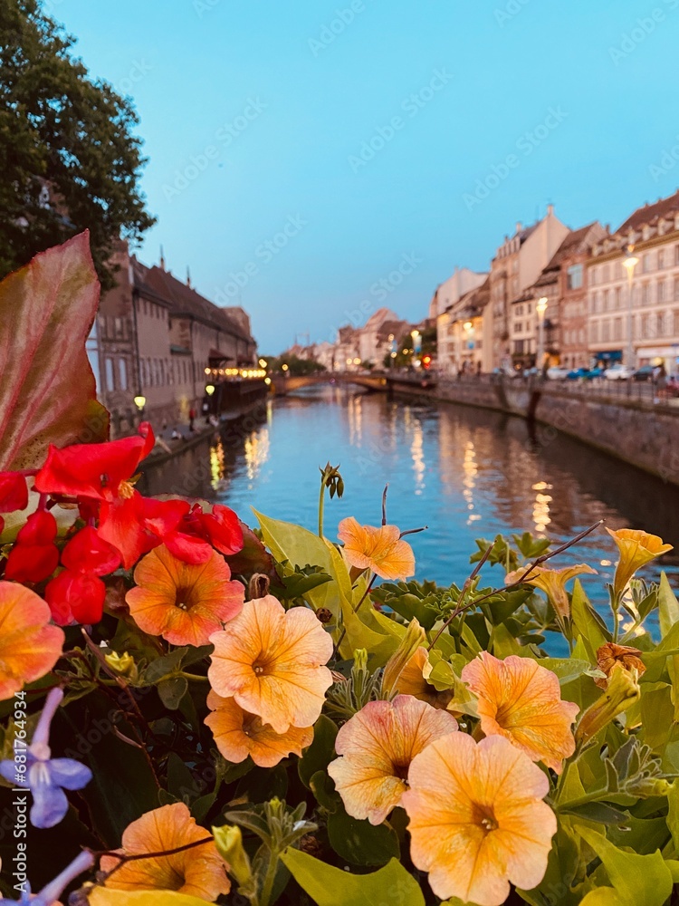 Beautiful flowers and colours from Strasbourg | Alsace | France