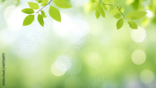 Beautiful green leaves on blurred background  AI Generative.