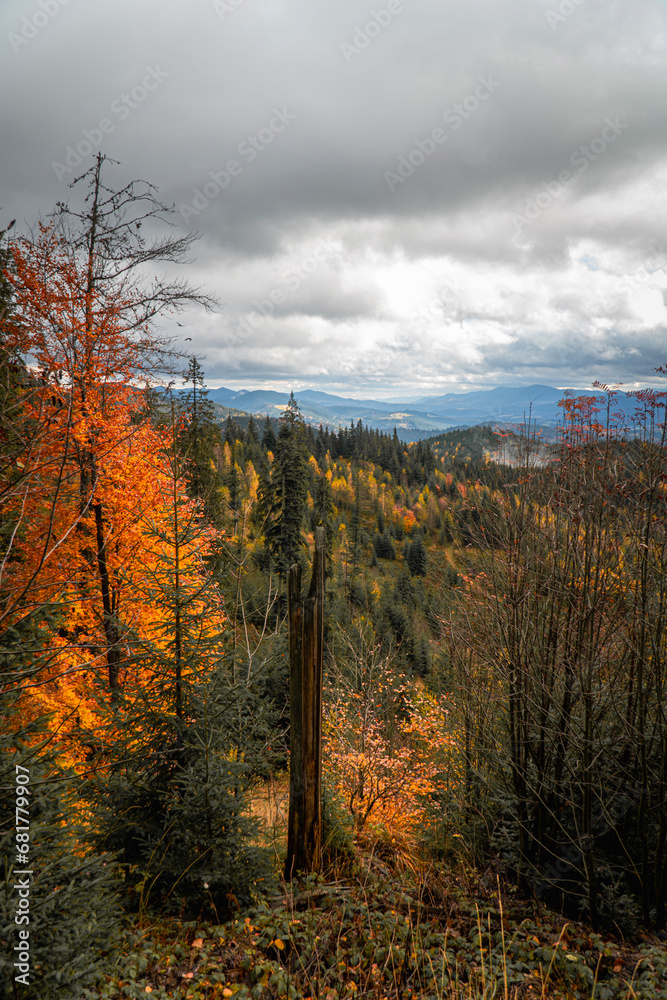 Fototapeta premium autumn landscape of the Carpathian mountains