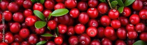 lingonberry background. 