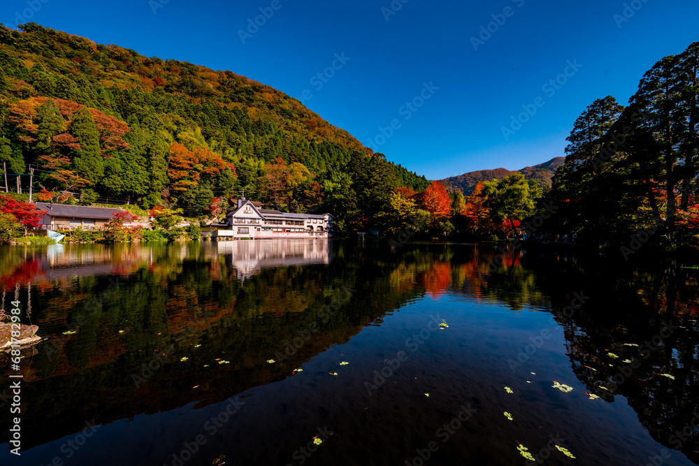 Fototapeta premium 金鱗湖