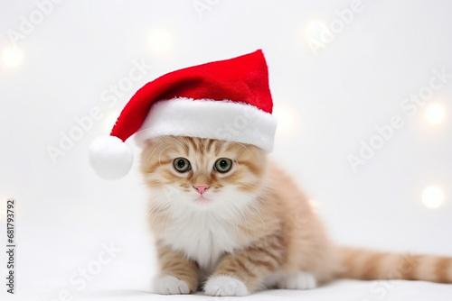 cat wearing Santa clause hat © Uzair