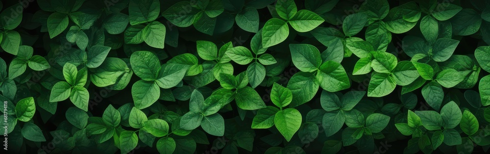 Green leaves background Green leaves background