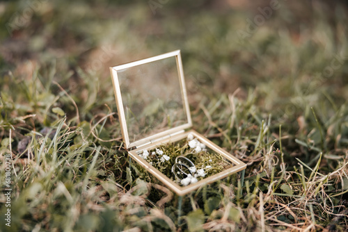shot of beautiful wedding rings in a glass box in the grass,rings photographed in nature,