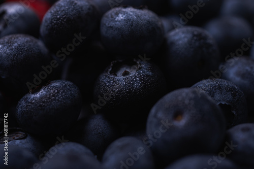 Wallpaper Mural Blueberry berries, close up. Water drops on berries. Berry background  Torontodigital.ca