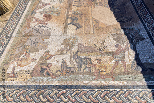 Roman mosaic floor showing an agrarian scene at the Uthina Archaeological Site.