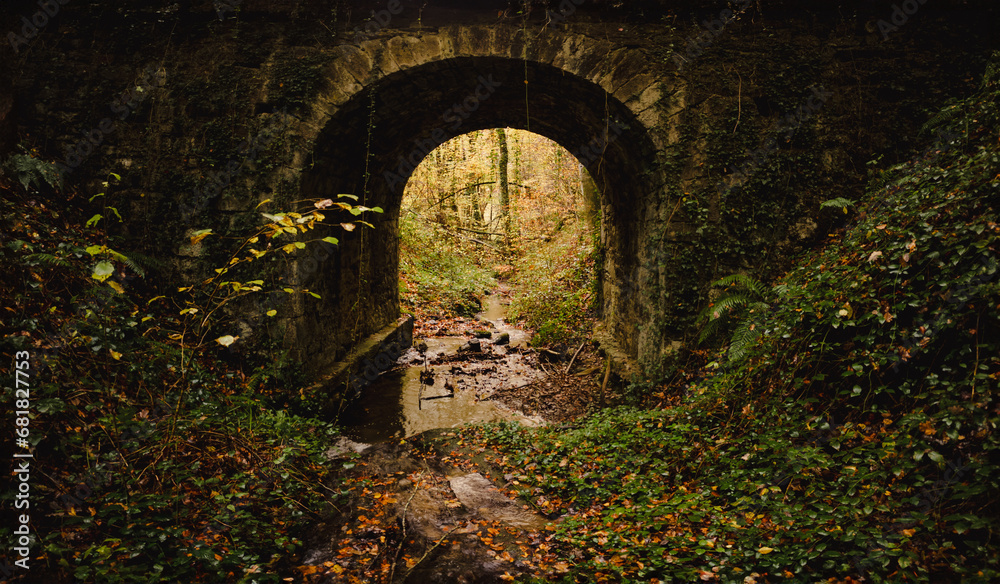 Old bridge with stream in late fall forest Old bridge with stream in late fall forest