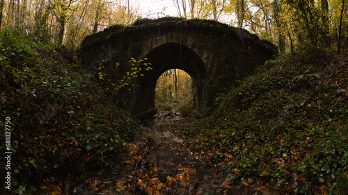 Old bridge with stream in late fall forest