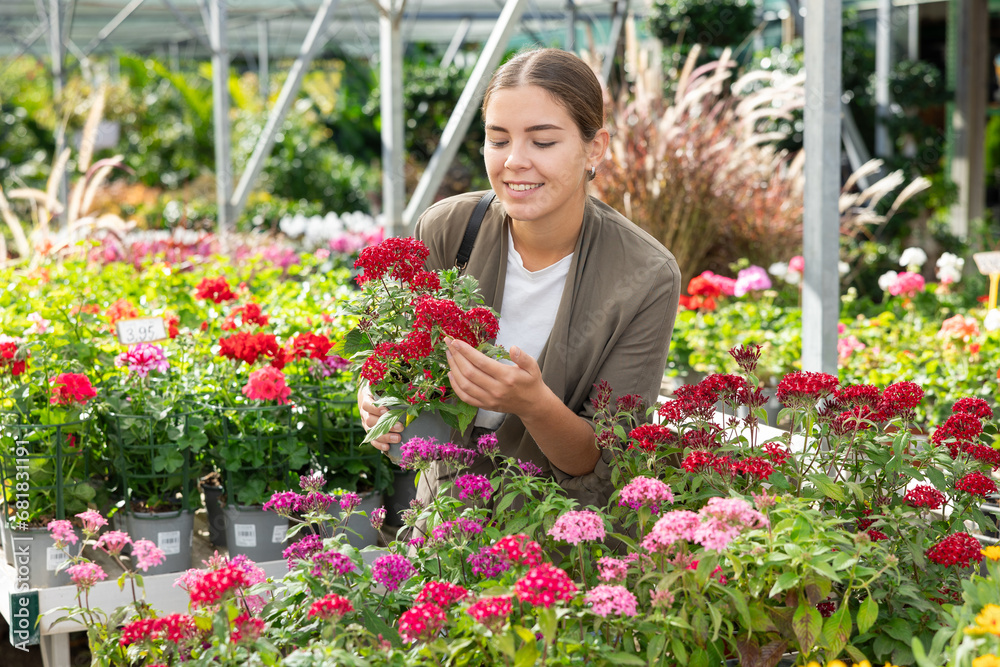 Woman visitor of flower boutique examines flowers of red pentas mix