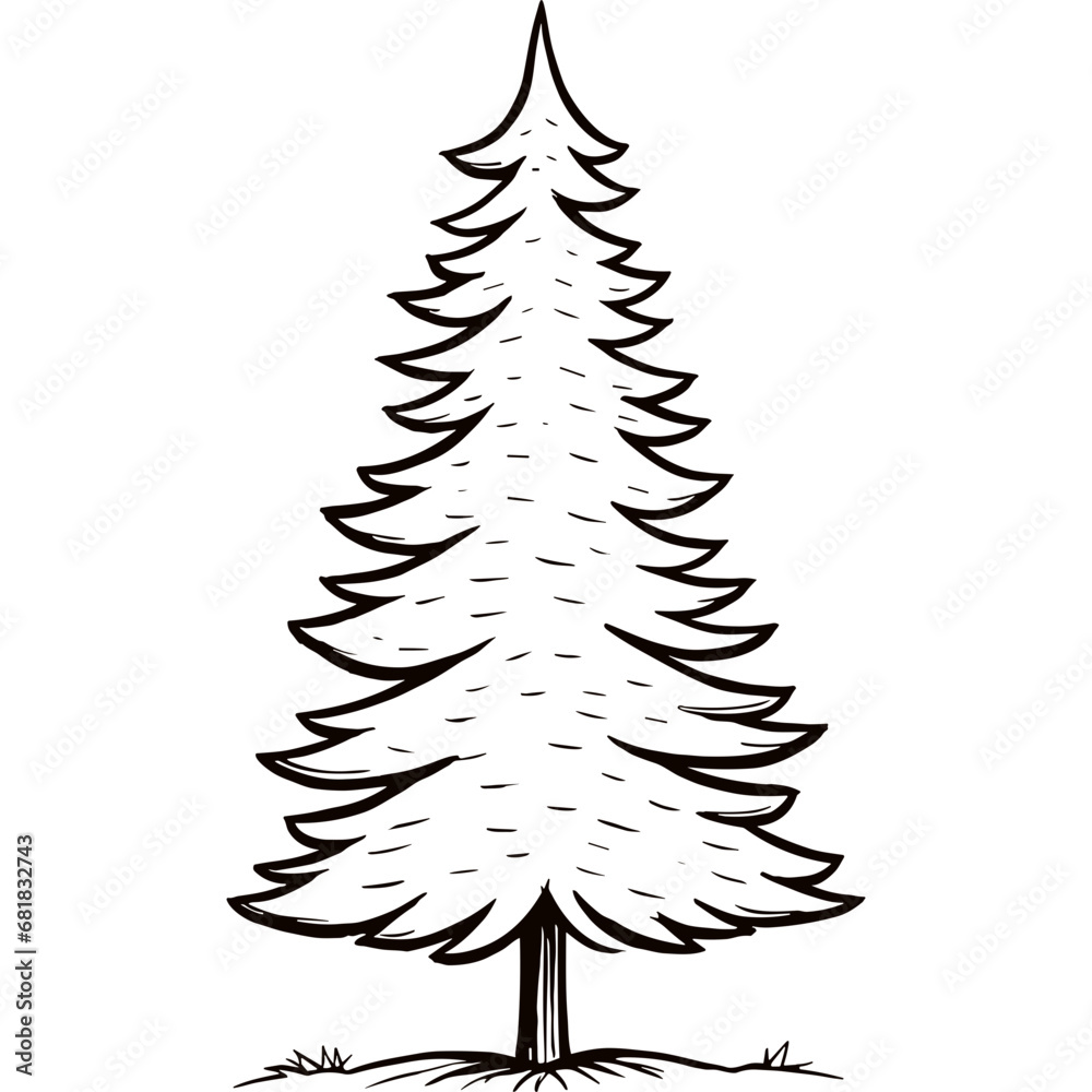hand drawn fir tree sketch hand drawn fir tree sketch