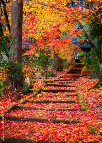 秋の京都 龍穏寺(京都府南丹市園部町) photo