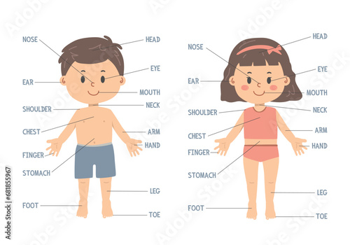 Body parts chart cartoon clipart. Cute boy and girl with body parts names, educational poster for kids. Human body vector illustration flat cartoon style. Head, eye, neck, shoulder, chest, leg, foot