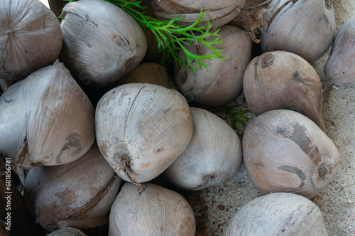 Several coconuts lay on the ground. photo