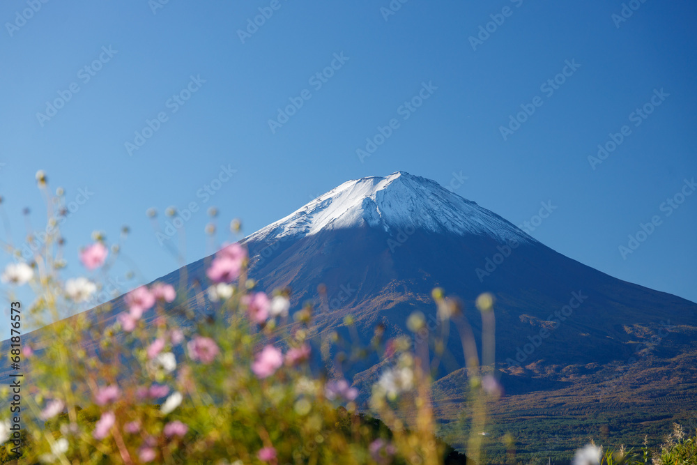 Fototapeta premium 川口湖畔の大石公園から望む秋晴れの富士山
