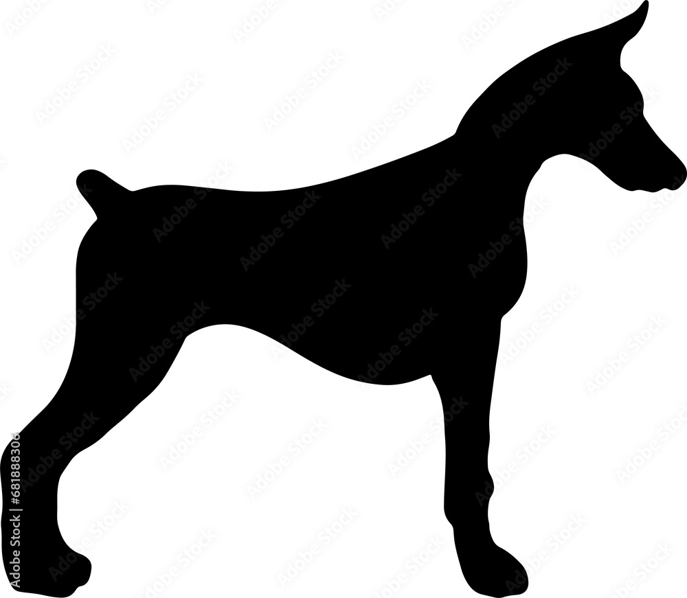 The doberman dog Silhouette for logo or pet concept