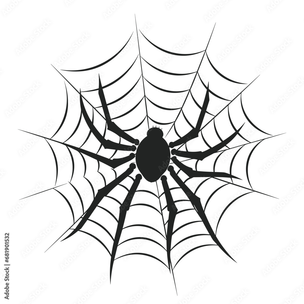 Fototapeta premium A cobweb vector isolated on a White background, A Spider web silhouette