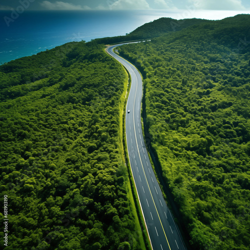Winding road through a lush forest with a ocean view