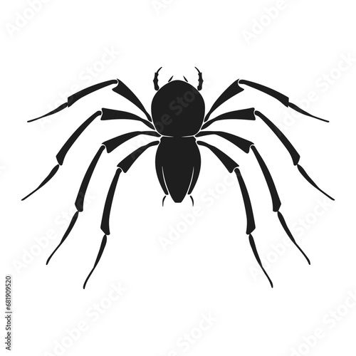 Cobweb Vector isolated on a White background, Spider and web silhouette © Enamul CF  id: 58