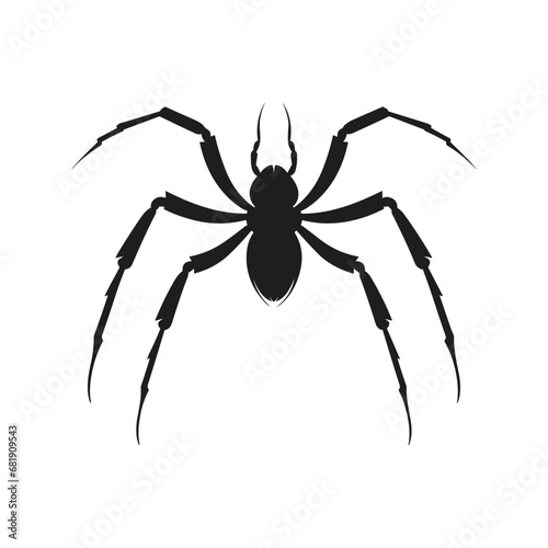 Cobweb Vector isolated on a White background, Spider and web silhouette