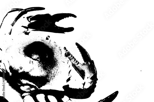 silhouette of crab isolated on white background, invertebrate animal