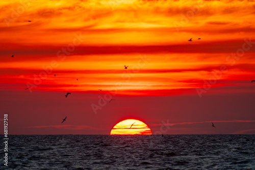 Big Sunrise in Orange Sky with Seabirds  Sun Centered