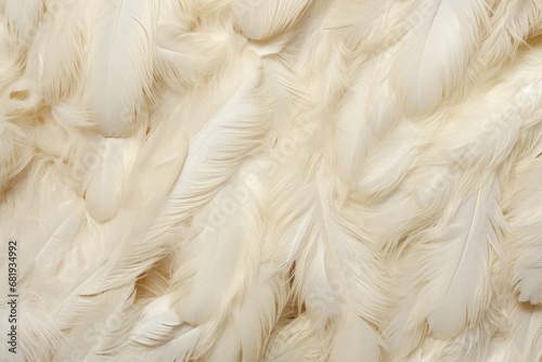 Luxurious cream feathers provide a plush texture, suitable for high-end fashion details or elegant interior designs. photo