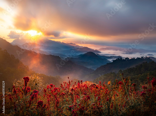 landscape and sky background concept with woman travel  nature of north Thailand  fog-laden valleys  wintery mountain passes of Chiang Mai province   top view on the mountain sunrise and sunset.