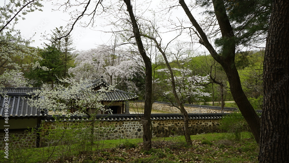 김포 장릉은 문화재인 전통 한옥과 정원이 있는 아름다운 봄 풍경입니다