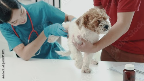 Animal treatment and veterinarians, doctors examining dogs to find the cause of illness, vaccinating dogs, taking close care of pets' bodies to keep them healthy, taking pets for annual vaccinations.