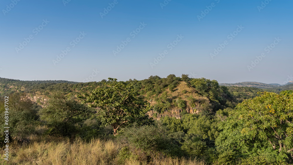 The landscape of the endless jungle. A sunny day. The mountains are covered with green vegetation. Yellowed grass in the meadow in the foreground. Blue sky. India. Ranthambore National Park.