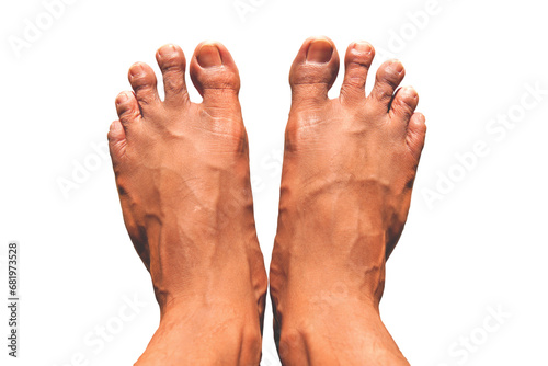 two foot isolated on white background.