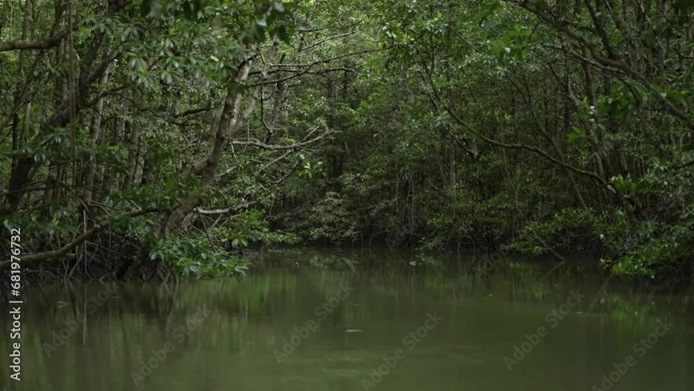 Crossing into the Kalimantan mangrove forest slowly Crossing into the Kalimantan mangrove forest slowly