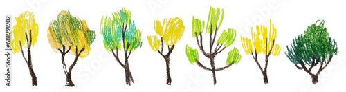 illustration pencil drawing green deciduous trees set children's drawing photo